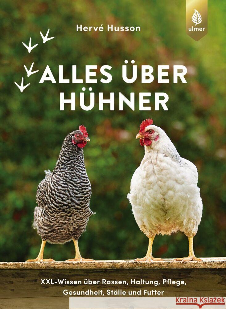 Alles über Hühner Husson, Hervé 9783818615192