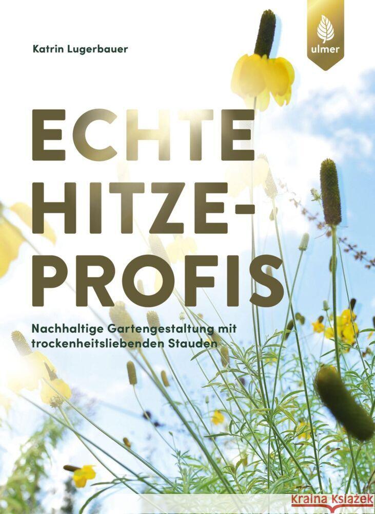 Echte Hitzeprofis Lugerbauer, Katrin 9783818617653 Verlag Eugen Ulmer