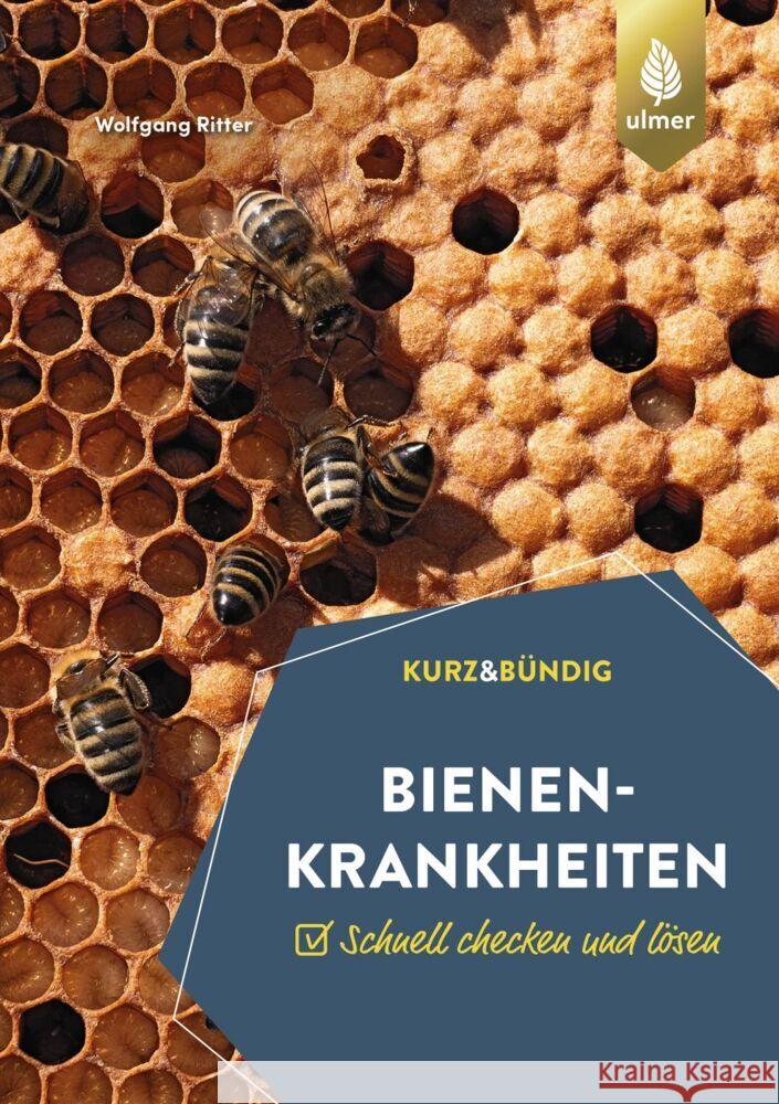 Bienenkrankheiten Ritter, Wolfgang 9783818617691 Verlag Eugen Ulmer