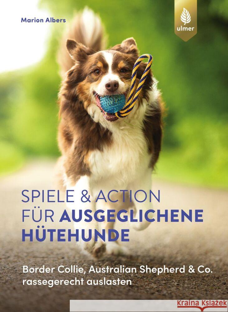 Spiele und Action für ausgeglichene Hütehunde Albers, Marion 9783818617769 Verlag Eugen Ulmer
