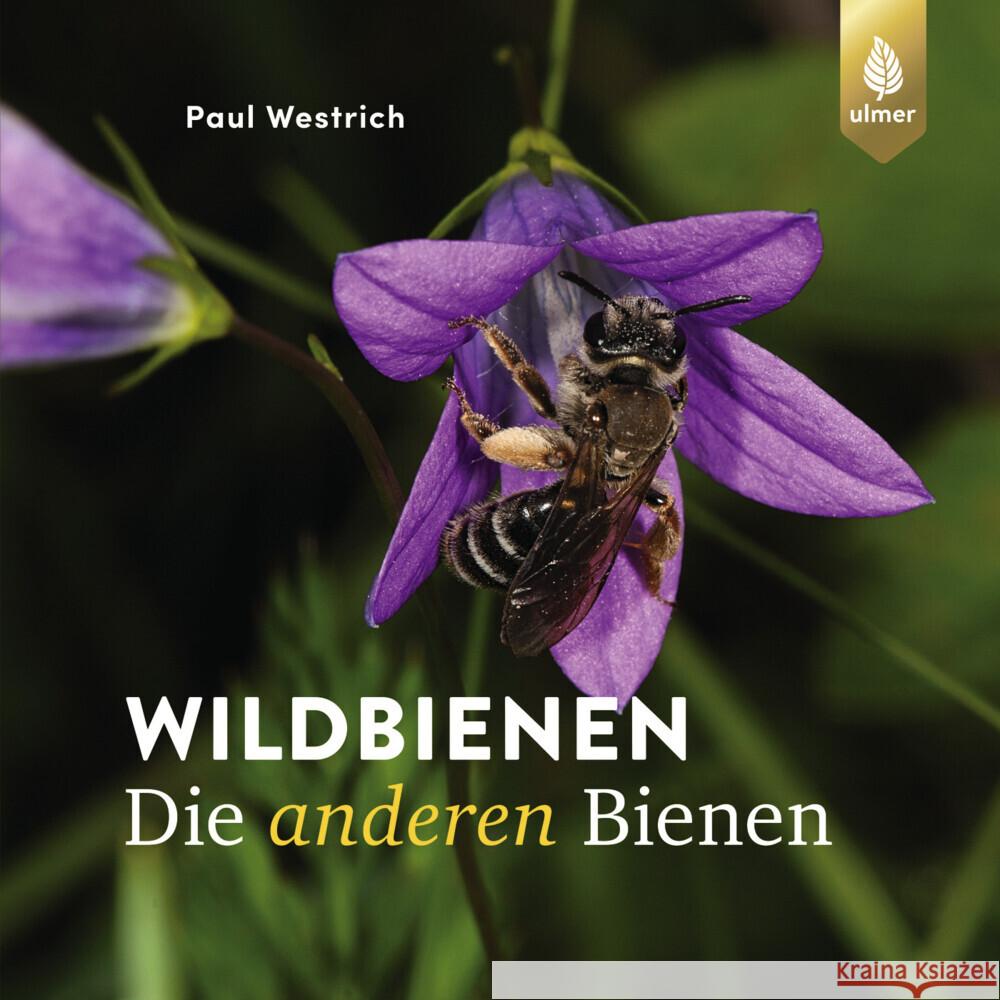 Wildbienen, die anderen Bienen Westrich, Paul 9783818620868