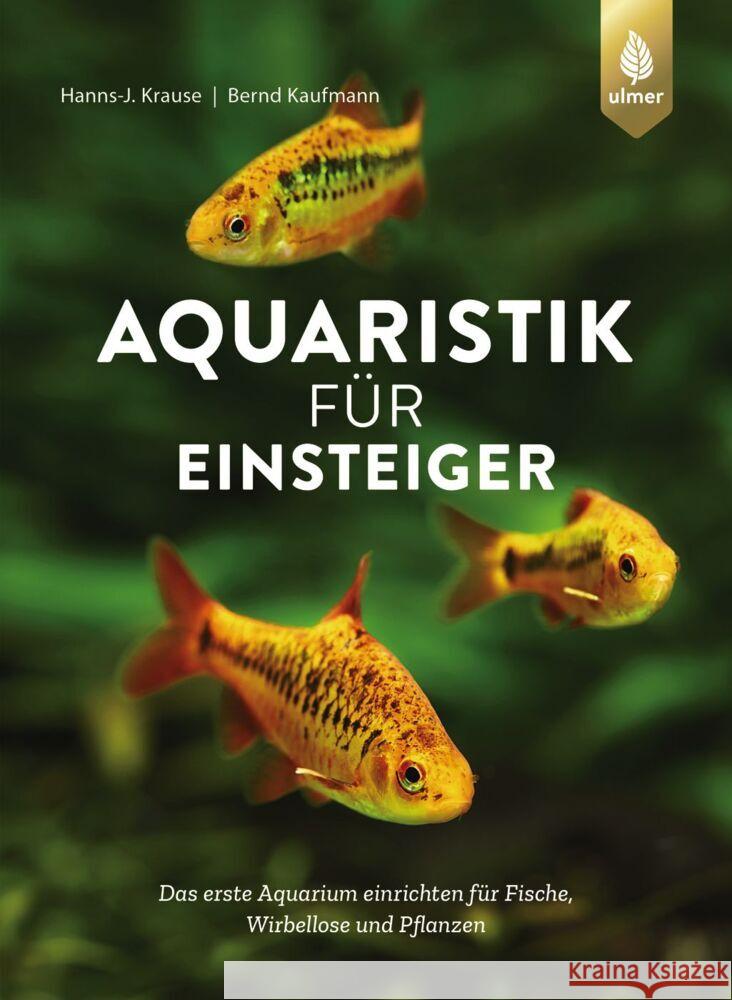 Aquaristik für Einsteiger Krause, Hanns-J., Kaufmann, Bernd 9783818620943 Verlag Eugen Ulmer