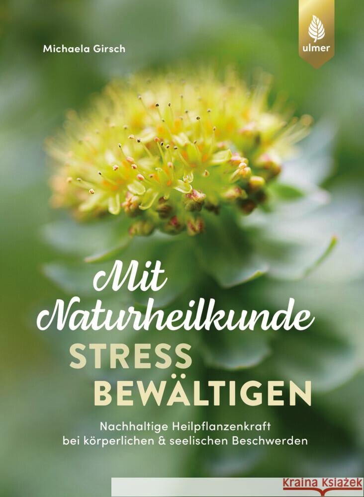 Mit Naturheilkunde Stress bewältigen Girsch, Michaela 9783818623555