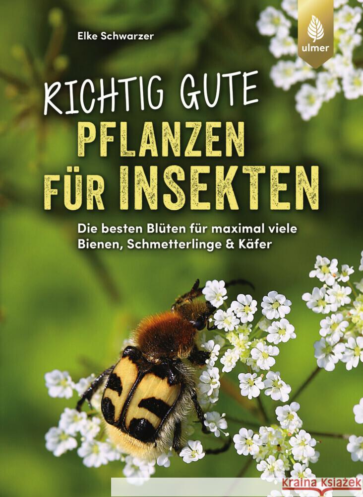 Richtig gute Pflanzen für Insekten Schwarzer, Elke 9783818623906