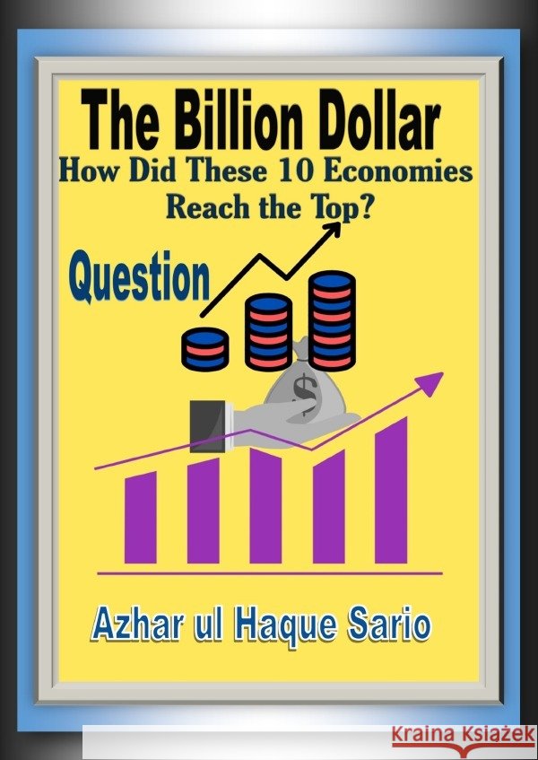The Billion Dollar Question Sario, Azhar ul Haque 9783818712952
