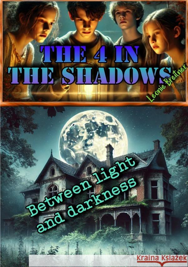 The 4 in the shadows: Between light and darkness Breitner, Leonie 9783818738334