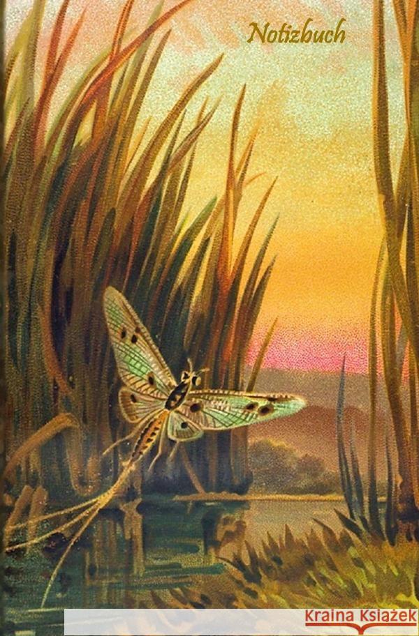 Notizbuch Potter, Elizabeth 9783818757144