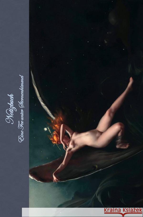 Notizbuch Eine Fee unter Sternenhimmel Potter, Elizabeth 9783818763480