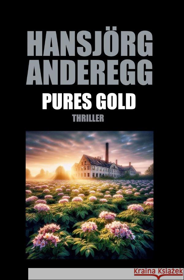 Pures Gold Anderegg, Hansjörg 9783818773830