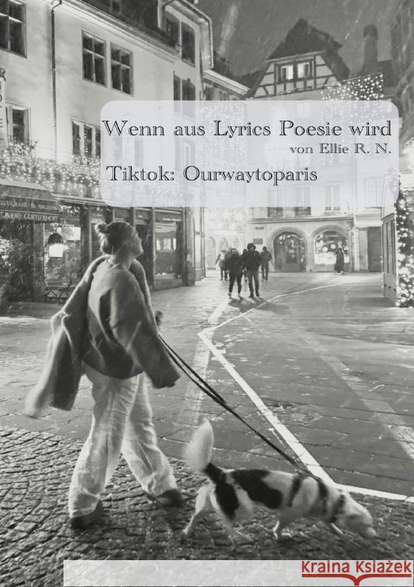 Wenn aus Lyrics Poesie wird R. N., Ellie 9783819065491 epubli