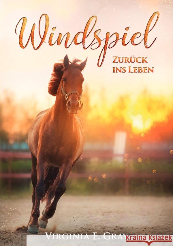 Windspiel - Zurück ins Leben Gray, Virginia E. 9783819068669