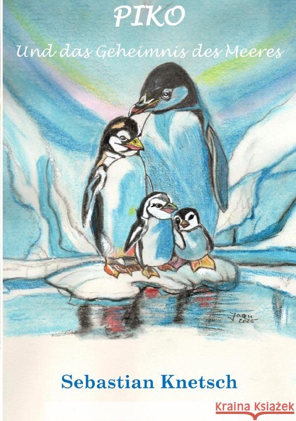 Piko und das Geheimnis des Meeres Knetsch, Sebastian 9783819072956