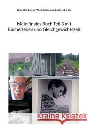 Mein finales Buch Teil 3 mit B?cherleben und Gleichgewichtszeit Gerd Steinkoenig Michelle Connery Beatrice Farber 9783819211287 Bod - Books on Demand