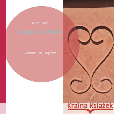 Ziegen im Wadi: Gedichte und Songtexte Jochen Nagel 9783819223990