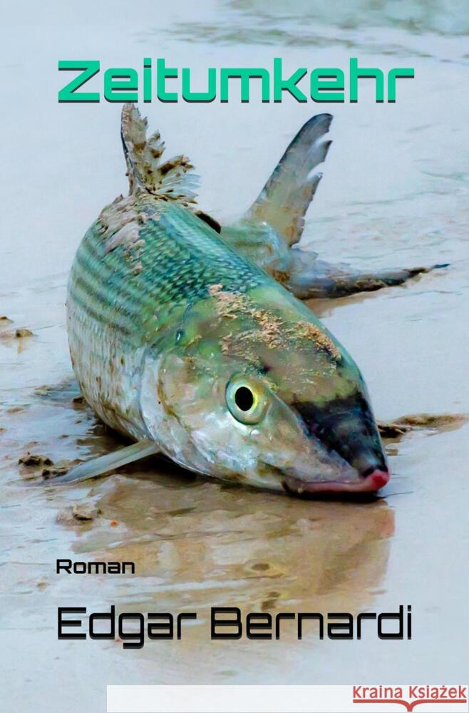 Zeitumkehr Bernardi, Edgar 9783819420658