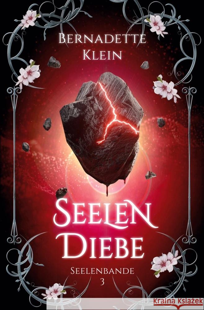 Seelendiebe Klein, Bernadette 9783819452505