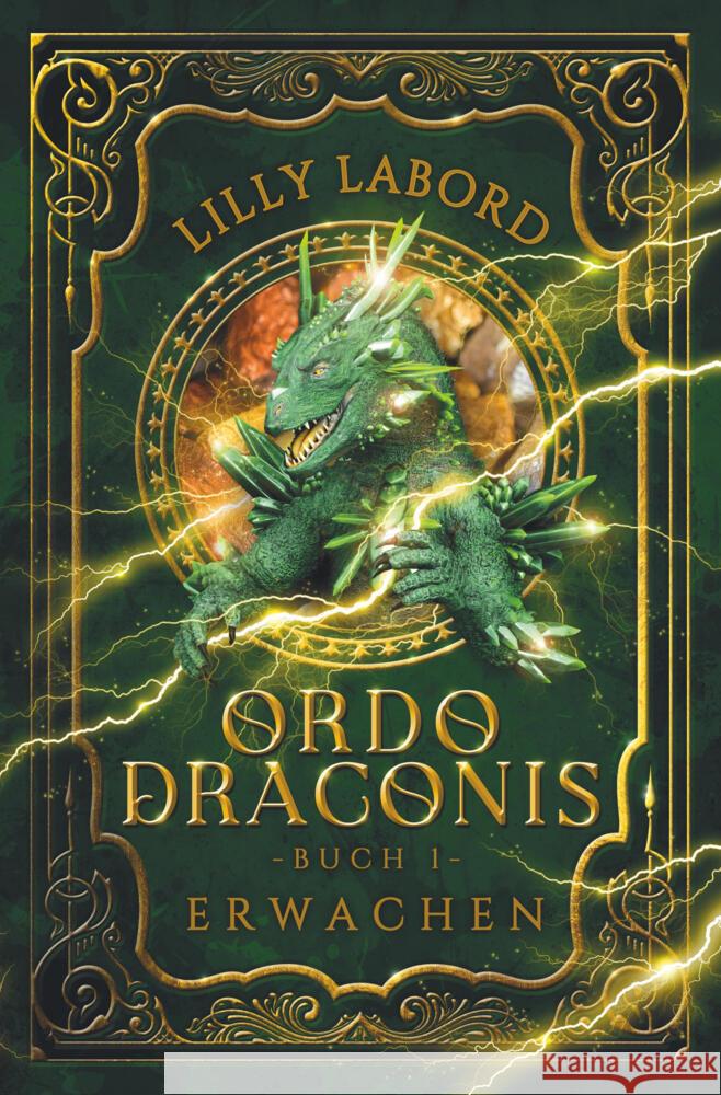 Ordo Draconis - Erwachen Labord, Lilly 9783819468452 FavBooks GbR
