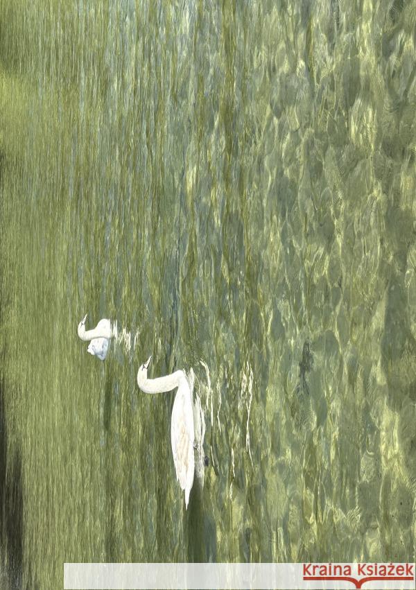 Last Archives bLUe, ROO 9783819712524