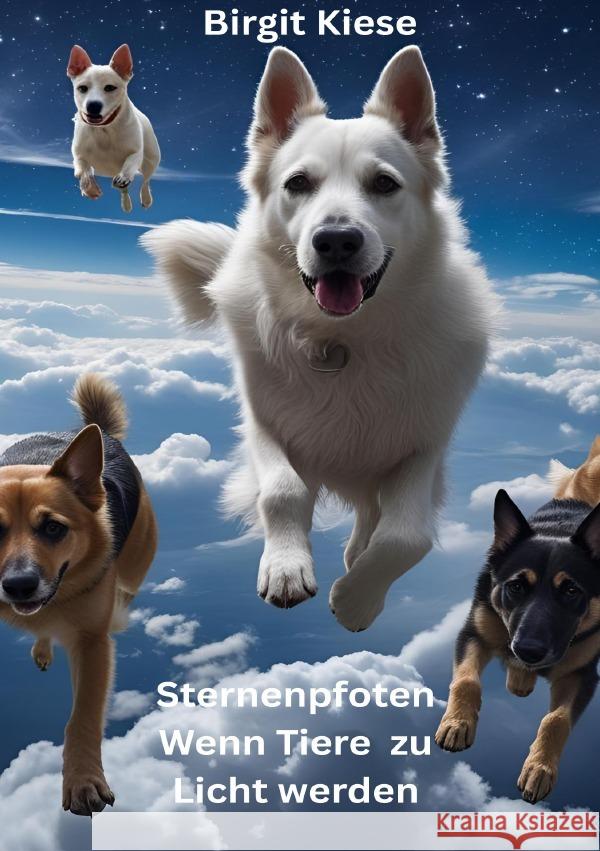 Sternenpfoten - Wenn Tiere zu Licht werden Kiese, Birgit 9783819731075 epubli