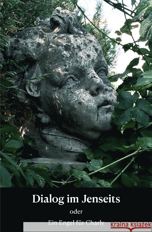 Dialog im Jenseits Brink, Martin 9783819752520