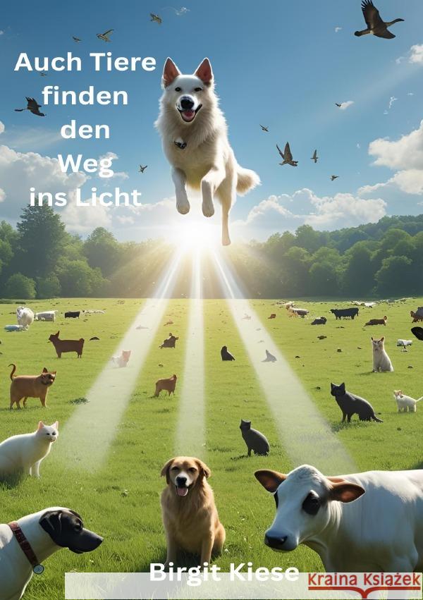 Auch Tiere finden den Weg ins Licht Kiese, Birgit 9783819755910