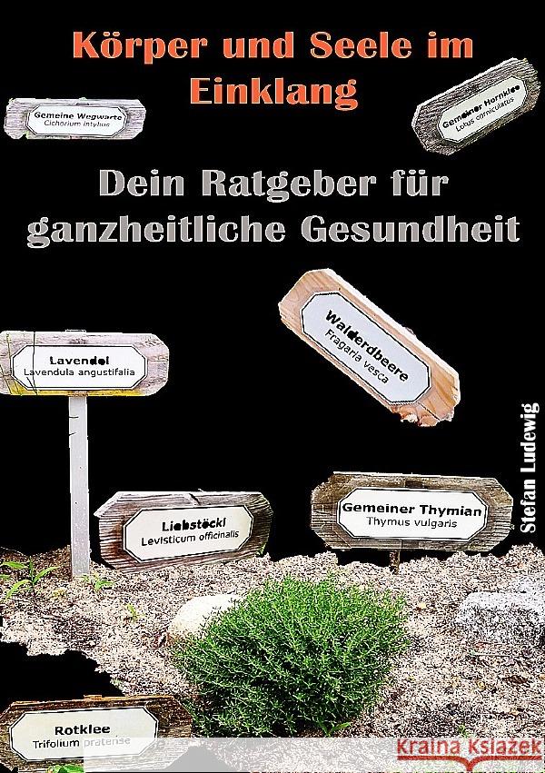 Körper und Seele im Einklang I Dein Ratgeber für ganzheitliche Gesundheit Sterling, Viktor 9783819796043 epubli