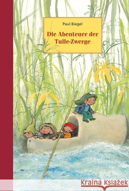 Die Abenteuer der Tulle-Zwerge Biegel, Paul 9783825178024 Urachhaus