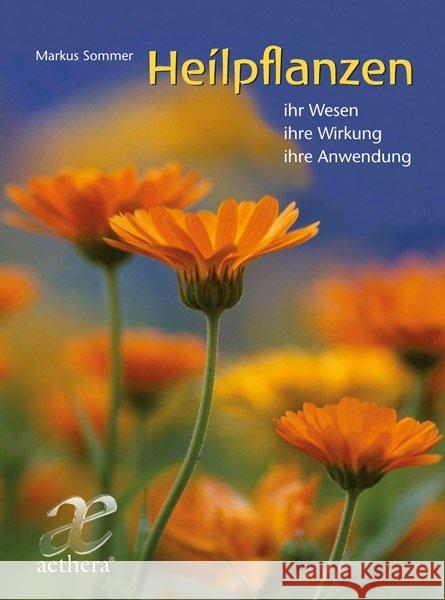 Heilpflanzen : Ihr Wesen - ihre Wirkung - ihre Anwendung Sommer, Markus 9783825180010 Urachhaus