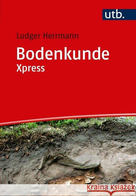 Bodenkunde Herrmann, Ludger 9783825249434