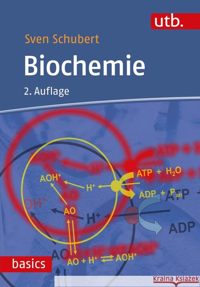 Biochemie Schubert, Sven 9783825256593 Ulmer