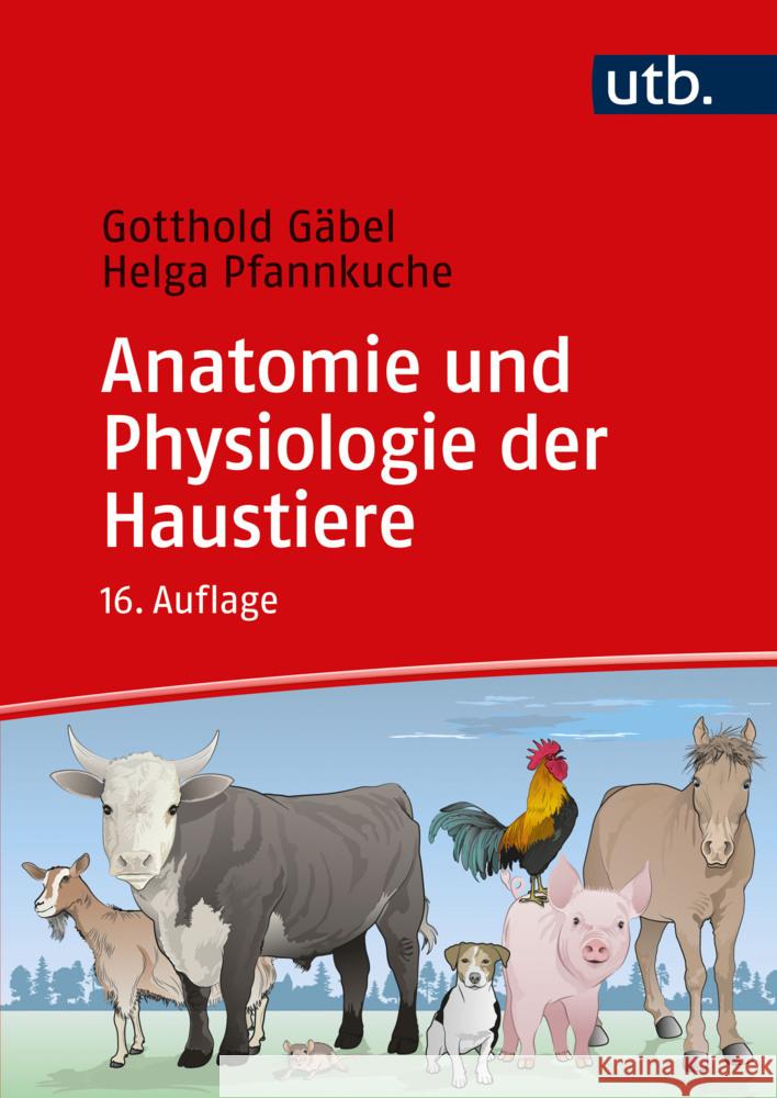 Anatomie und Physiologie der Haustiere Gäbel, Gotthold, Pfannkuche, Helga, Pfannkuche, Helga 9783825261511 Ulmer