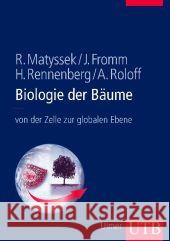 Biologie der Bäume : Von der Zelle zur globalen Ebene Matyssek, Rainer Fromm, Jörg Rennenberg, Heinz 9783825284503