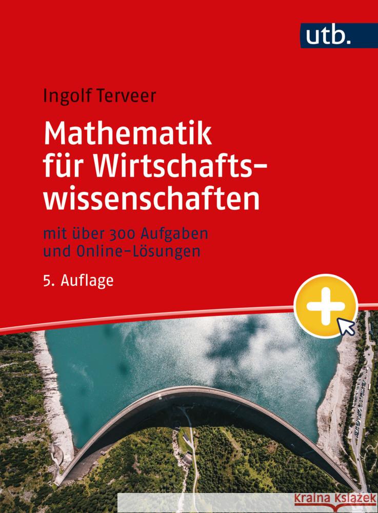 Mathematik für Wirtschaftswissenschaften Terveer, Ingolf 9783825288181