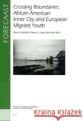 Crossing Boundaries: African American Inner City and European Migrant Youth Maria Diedrich Theron D. Cook Flip Lindo 9783825872311 Lit Verlag