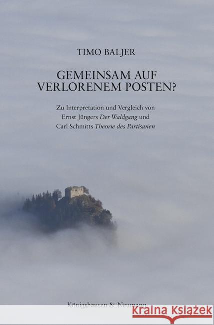 Gemeinsam auf Verlorenem Posten? Baljer, Timo 9783826091056