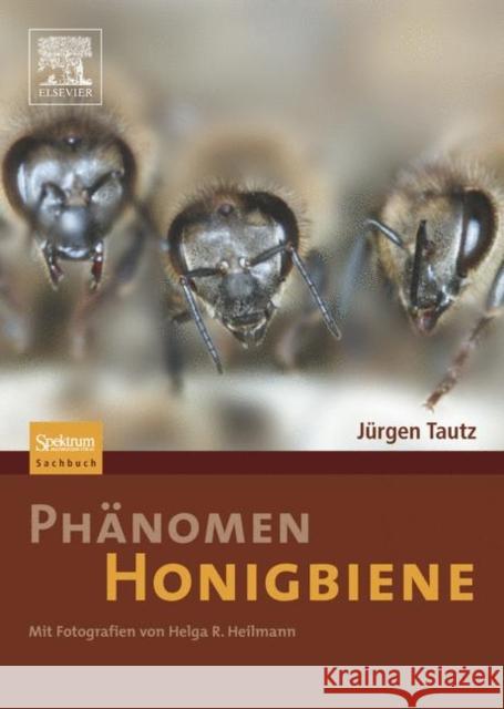Phänomen Honigbiene Tautz, Jürgen 9783827418456 Spektrum Akademischer Verlag
