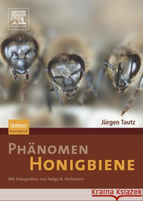 Phänomen Honigbiene Tautz, Jürgen 9783827418456