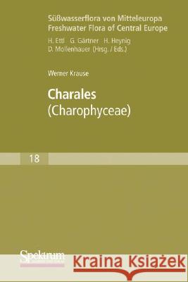 Süßwasserflora Von Mitteleuropa, Bd. 18: Charales: Charophyceae Krause, Werner 9783827419132