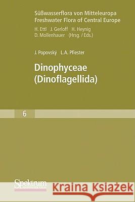 Dinophyceae: (Dinoflagellida) Büdel, Burkhard 9783827420985 Spektrum Akademischer Verlag