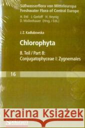 Süßwasserflora Von Mitteleuropa, Bd. 16: Chlorophyta VIII: Conjugatophyceae I: Zygnemales Kadlubowska, Joanna 9783827421401 Spektrum Akademischer Verlag