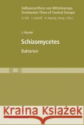 Süßwasserflora Von Mitteleuropa, Bd. 20: Schizomycetes Häusler, Jiri 9783827421418 Spektrum Akademischer Verlag