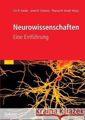 Neurowissenschaften: Eine Einführung Kandel, Eric 9783827429056 Spektrum Akademischer Verlag