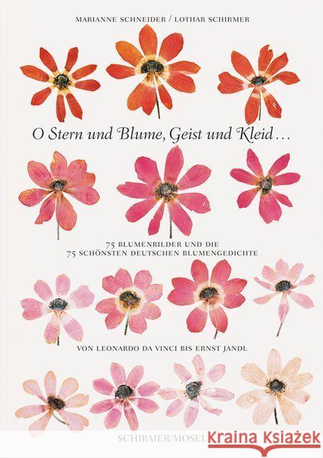 O Stern und Blume, Geist und Kleid... Schneider, Marianne, Schirmer, Lothar 9783829609937 Schirmer/Mosel