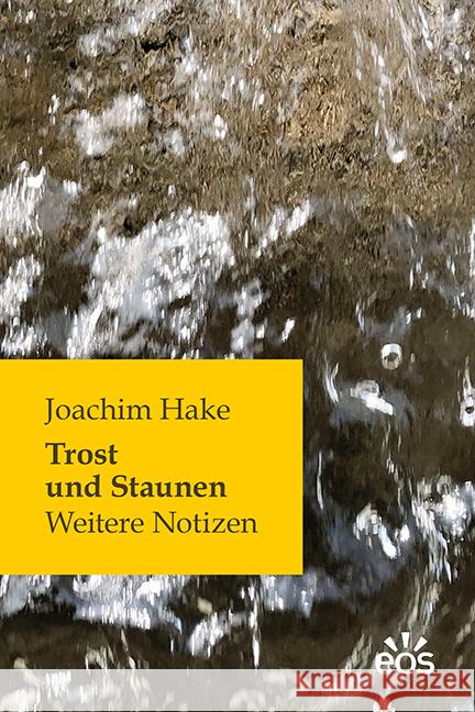 Trost und Staunen Hake, Joachim 9783830680291