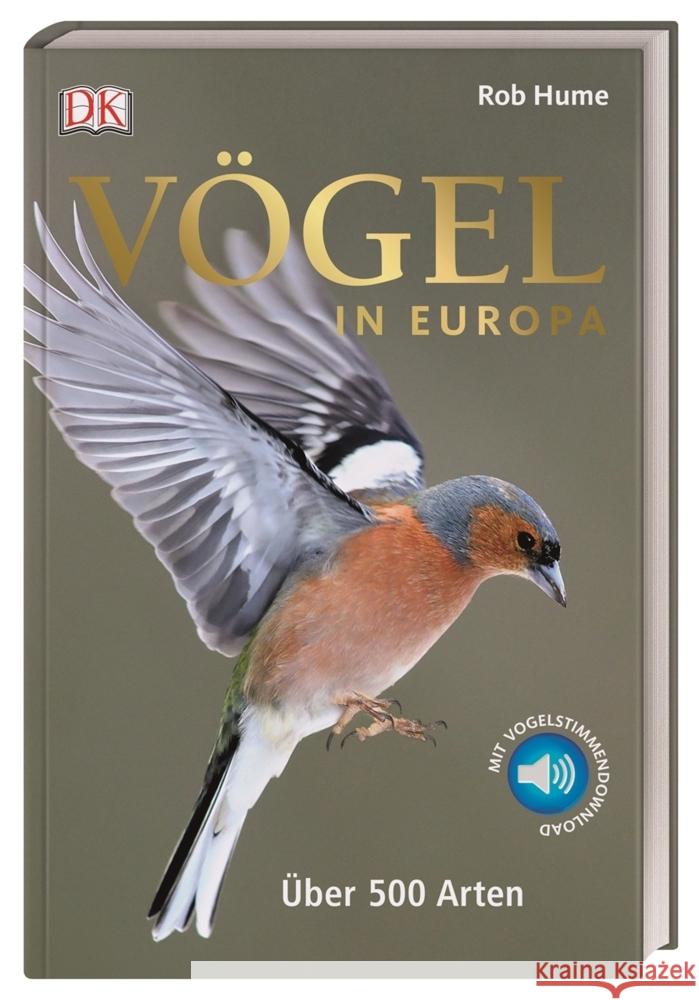 Vögel in Europa : Über 500 Arten. Mit Vogelstimmendownload Hume, Rob 9783831039050 Dorling Kindersley