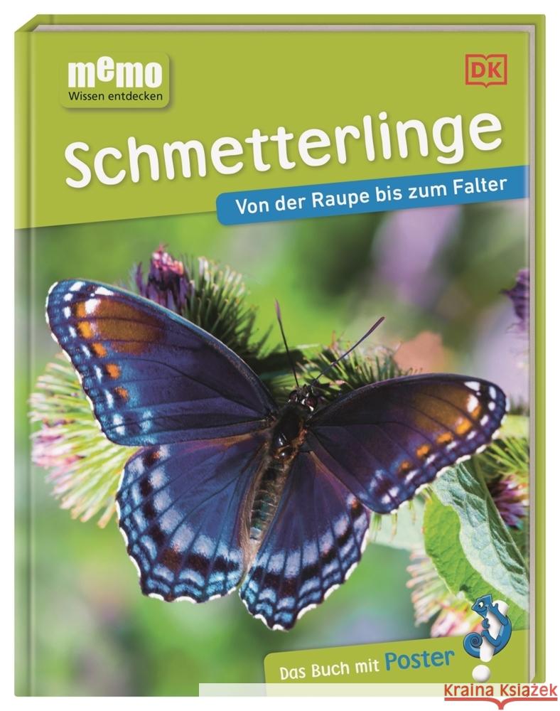 memo Wissen entdecken. Schmetterlinge Whalley, Paul 9783831043798 Dorling Kindersley Verlag