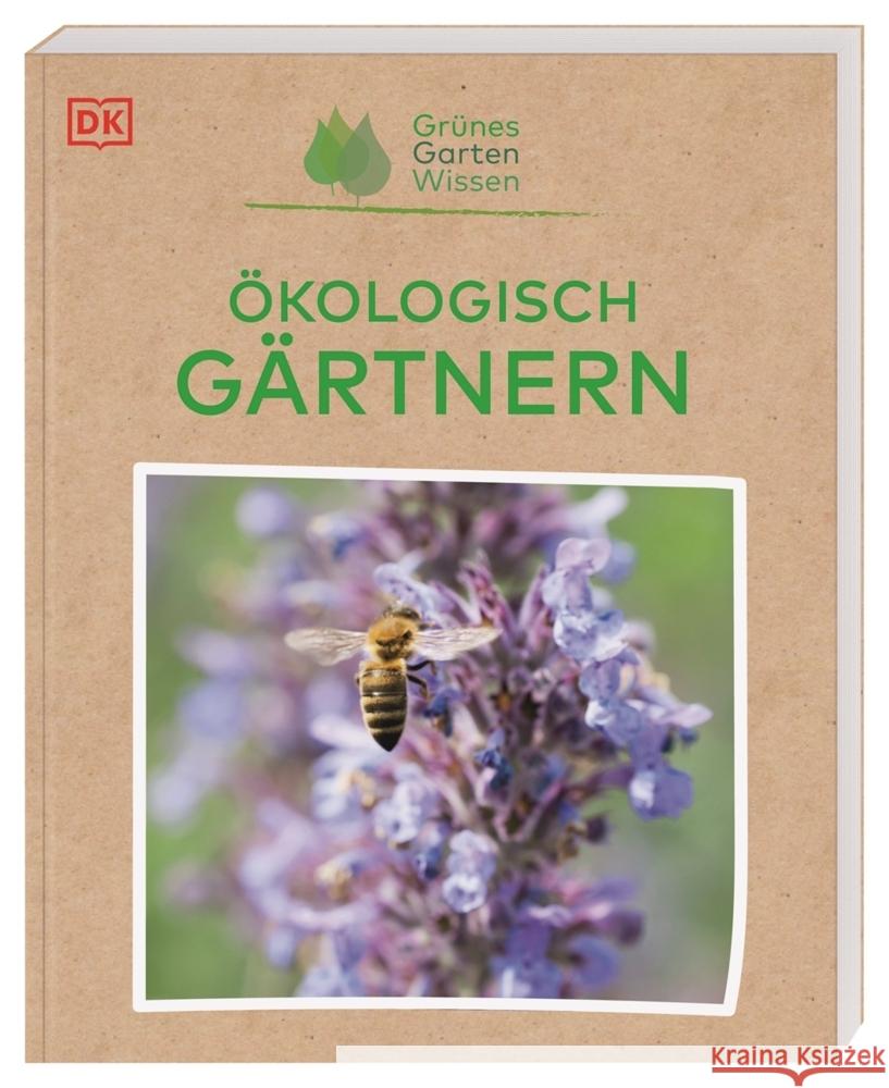 Grünes Gartenwissen. Ökologisch gärtnern Allaway, Zia 9783831043910 Dorling Kindersley Verlag