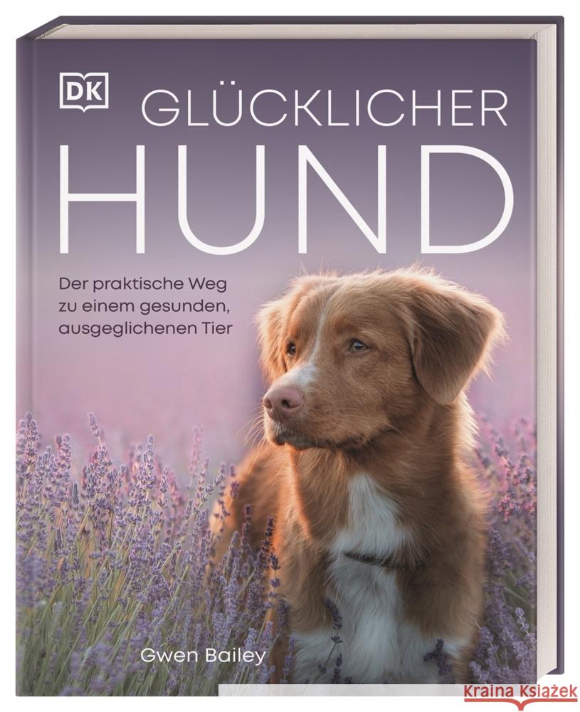 Glücklicher Hund Bailey, Gwen 9783831043958 Dorling Kindersley Verlag