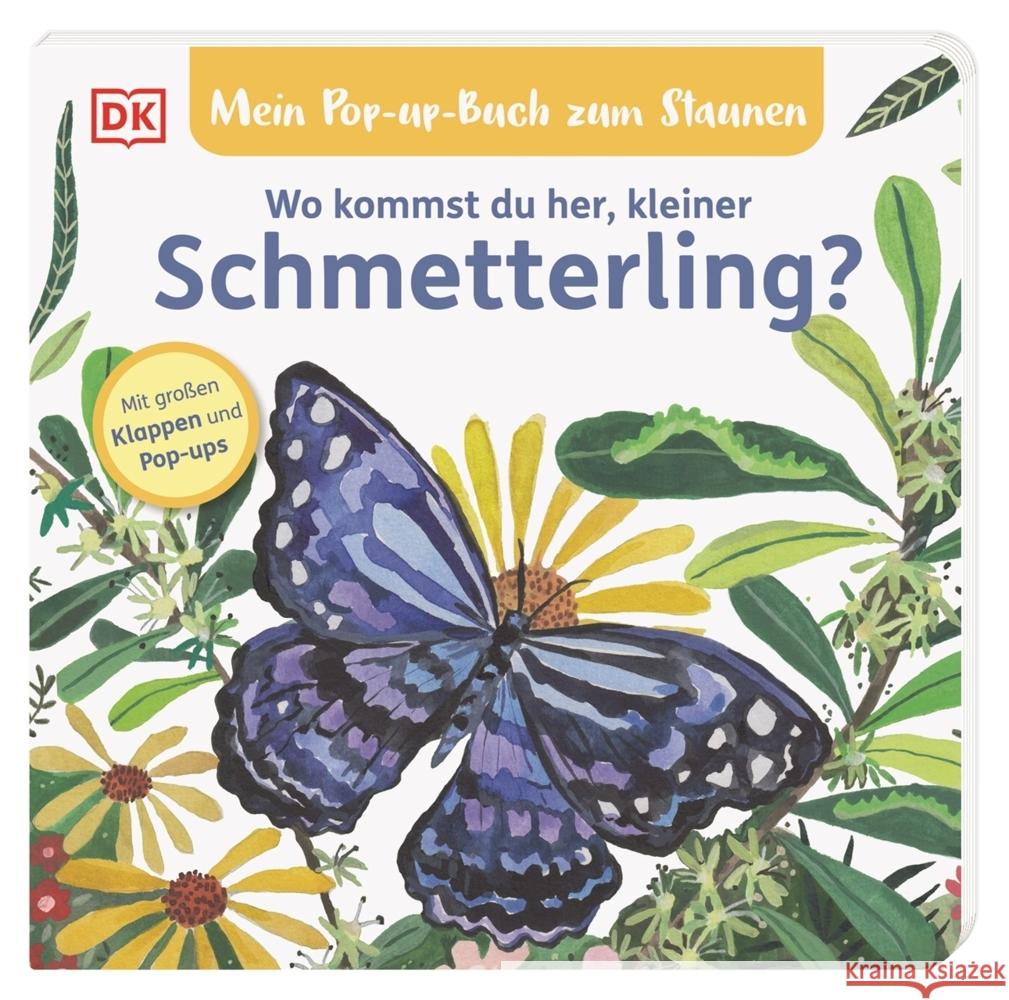 Mein Pop-up-Buch zum Staunen. Wo kommst du her, kleiner Schmetterling? Grimm, Sandra 9783831046621