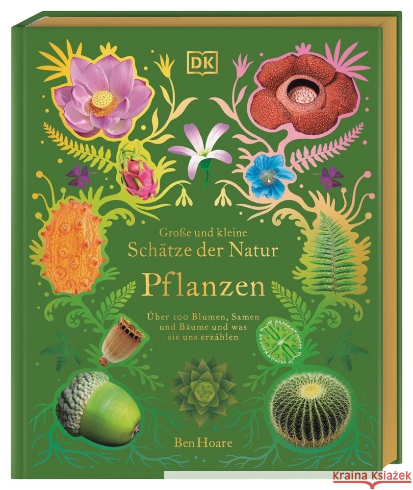 Große und kleine Schätze der Natur. Pflanzen Hoare, Ben 9783831046959 Dorling Kindersley Verlag